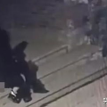 网传的恐怖吃瓜视频,揭秘网络恐怖视频背后的真相