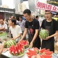 朝阳区吃瓜群众网,揭秘京城热点事件背后的真相