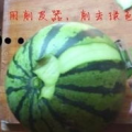 爆炸网今日吃瓜,揭秘娱乐圈最新热点事件