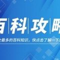 csgo箱子什么时候更新？csgo国服和国际服掉率是多少？2025年5月22日