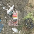 大连塔吊小姐姐,城市天际线的守护者与网红传奇